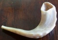 Thumbnail for version as of 23:31, 23 June 2010