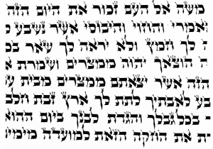 ראובן הסופר.PNG