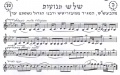 Thumbnail for version as of 17:30, 13 July 2007
