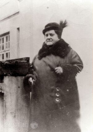 הרבנית שטערנא שרה 3.jpeg