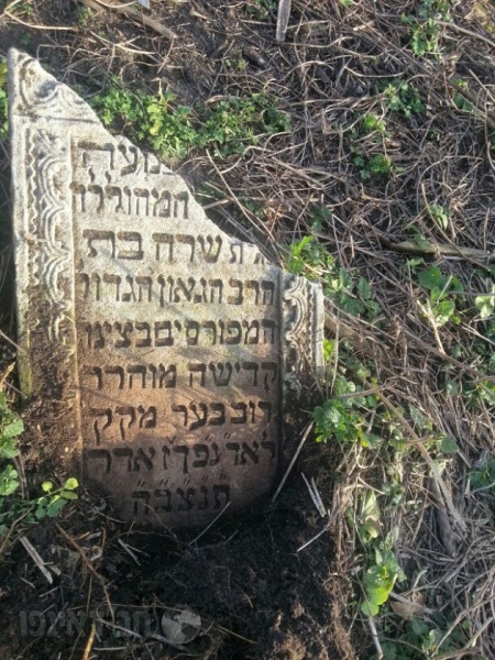File:מצבת שרה בת אדמור האמצעי.jpg